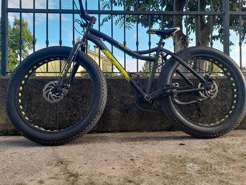 Fat bike