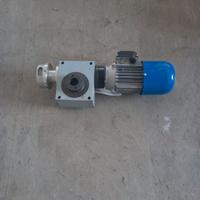 Motore trifase Coel + Martinetto Chiaravalli