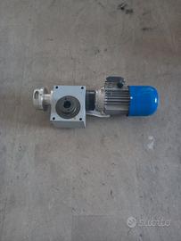 Motore trifase Coel + Martinetto Chiaravalli