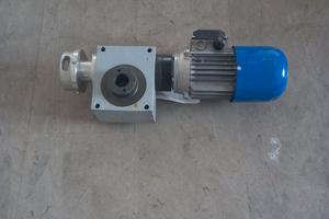 Motore trifase Coel + Martinetto Chiaravalli