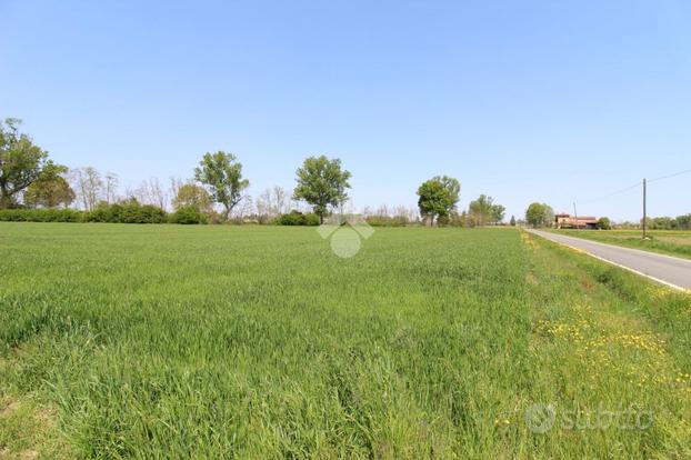 TER. AGRICOLO A MONTECHIARUGOLO