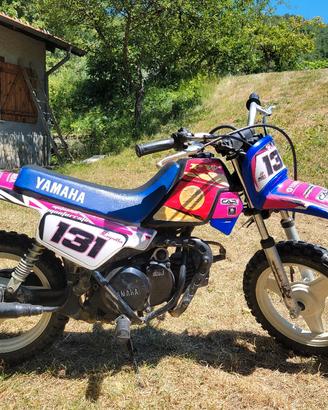 Yamaha PW50
