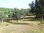 Immagine 14