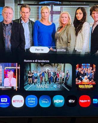 Samsung TV 65 pollici