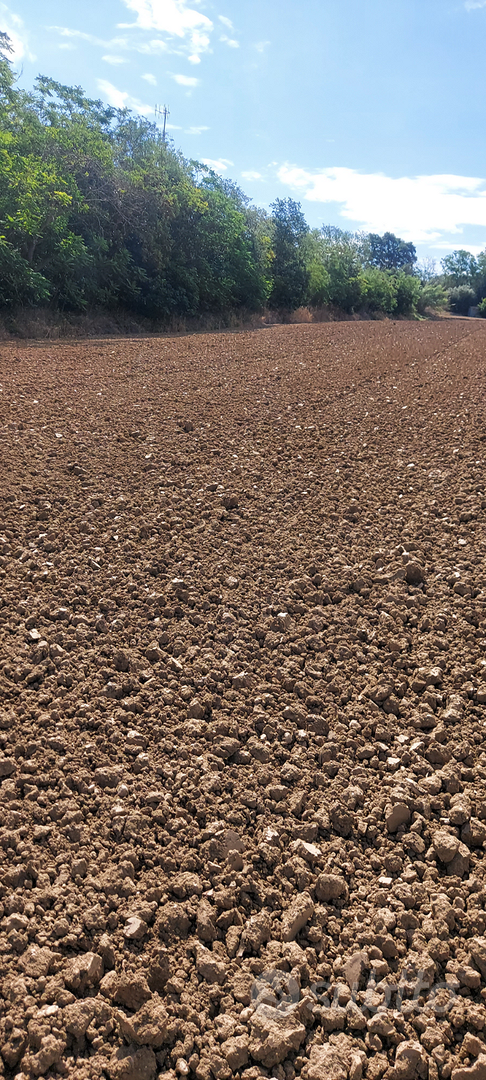 Terreno agricolo - Vista 5