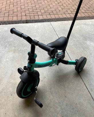 Triciclo evolutivo