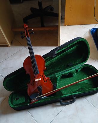 Violino con custodia