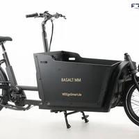 Weegosmart CargBa a pedalata assistita 250w