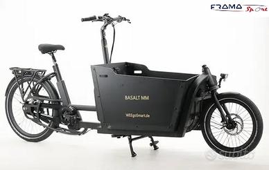 Weegosmart CargBa a pedalata assistita 250w