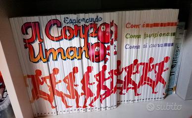 Esplorando il corpo umano (1-45)