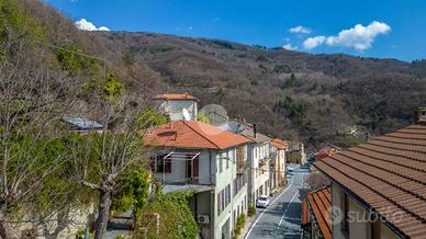 MULTILOCALE A PORNASSIO