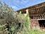 Immagine 14