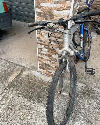 Bici cambio shimano