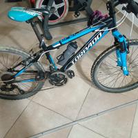 monta bike  Viper Torpado 