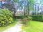 Immagine 12