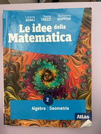 Libro le idee della matematica algebra e geometria