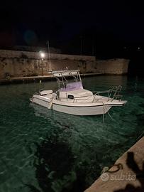 SEAGULL 600 Fratelli Longo
