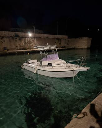 SEAGULL 600 Fratelli Longo