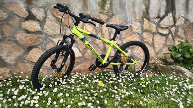  Bici MTB Rockrider 24" ( per bambini)