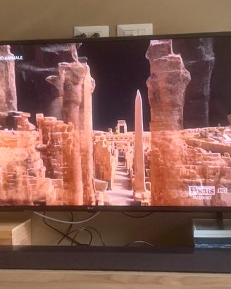 Smart Tv 43 pollici LG