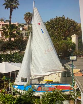 Barca a vela Dehler