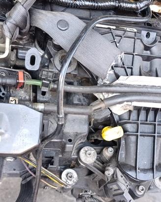 MOTORE USATO FORD TXDB