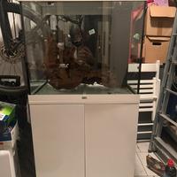 Acquario juwel lido 120