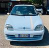 fiat-600-1-1-50th-anniversary