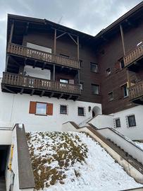 Mono locale alle pendici dell' alpe di siusi