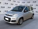 fiat-panda-1-2-69cv-young