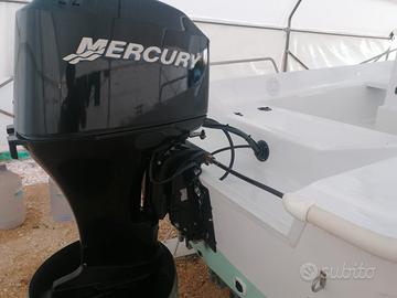 Motore mercury
