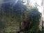 Immagine 9