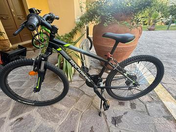 Bicicletta ragazzo