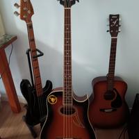 basso acustico eko