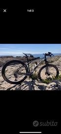 Mtb 29 carbonio