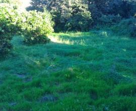 Terreno zona olimpo mq 2800