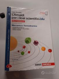 L' Amaldi per i licei scientifici.blu. Scuole supe
