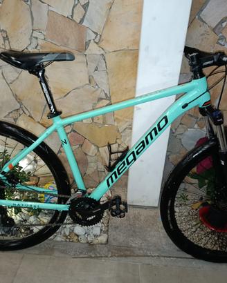 Bicicletta megamo