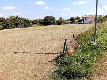 Terreno agricolo 