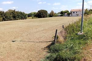 Terreno agricolo 