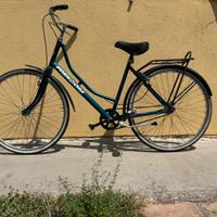 Bicicletta tipo olandese
