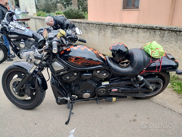 Harley Davidson Night Rod Special 1250 (gomma 240)