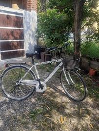 Bicicletta da città uomo