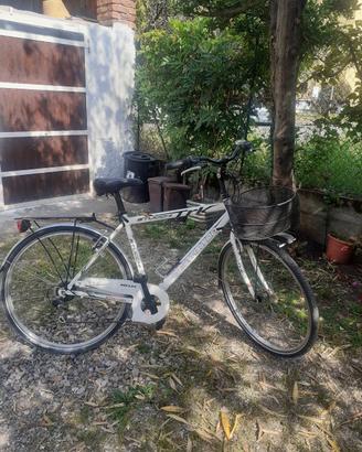 Bicicletta da città uomo