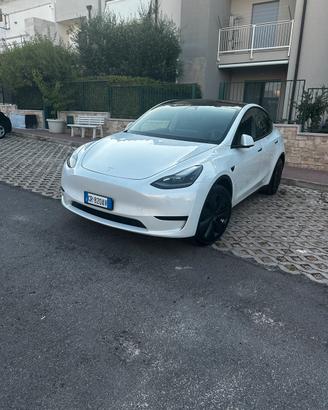 Tesla Model Y Rwd Settembre 2023 PERFETTA