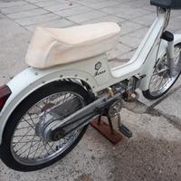 Boxer Piaggio