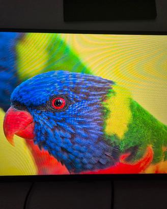 Samsung Smart Monitor M5 27'' FULL HD con pellicol