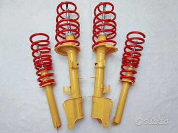 Ammortizzatori Sportivi Moll Fiat 176 Lancia Y 840