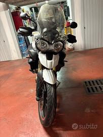 Triumph tiger 800