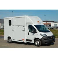 Van Trasporto Cavalli Pat B